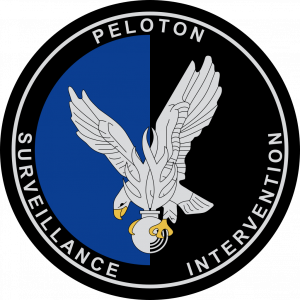 Emble╠Çme_Peloton_de_surveillance_et_d'intervention_de_la_Gendarmerie_(PSIG).svg